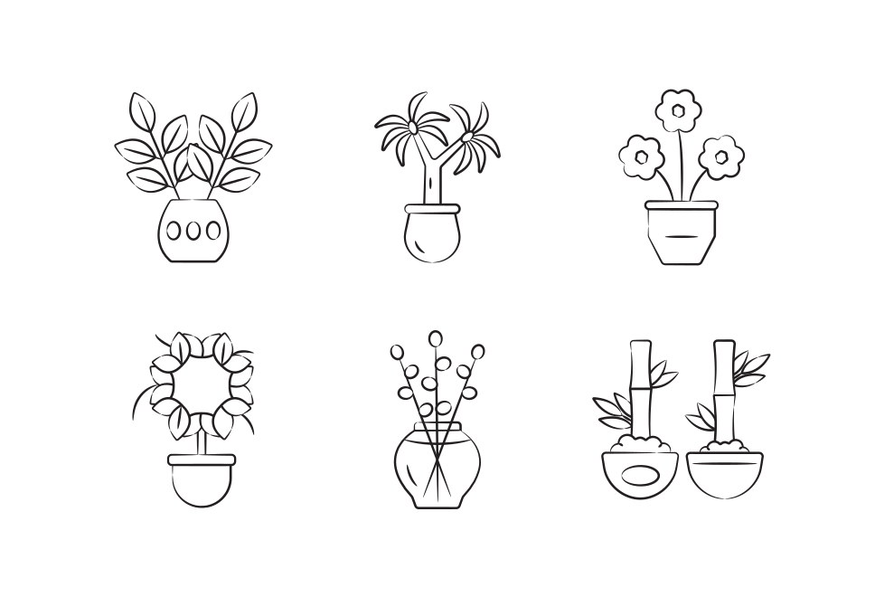 Indoor Plants Large Set Preview