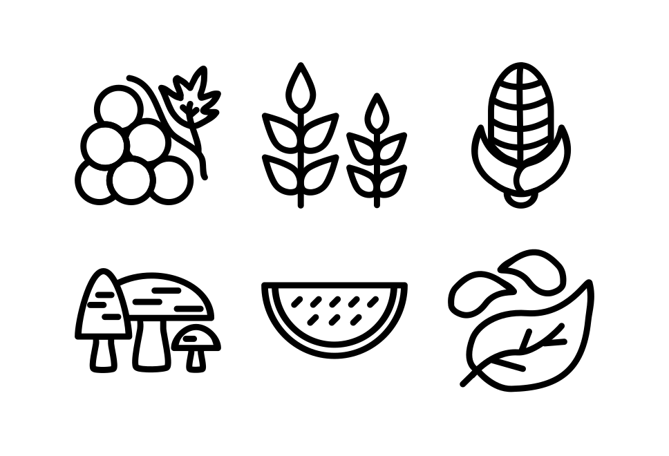 Autumn Large Set Preview