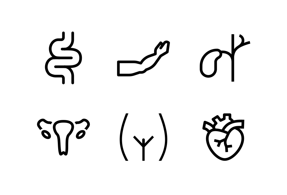 Body Set 1 Large Set Preview