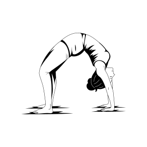 Wheel Pose, Urdhva, Backbend, Yoga, Fitness, icon