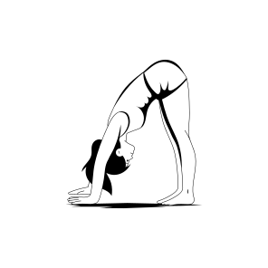 Wide Fold, Bending, Asanas, Yoga, Fitness, icon